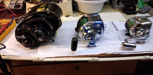 IMG_20210210_164140.jpg IMG_20210210_164140.jpg