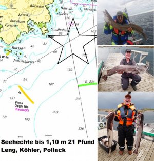 1613116892480.jpeg 1613116892480.jpeg