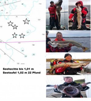 1613148102952.jpeg 1613148102952.jpeg