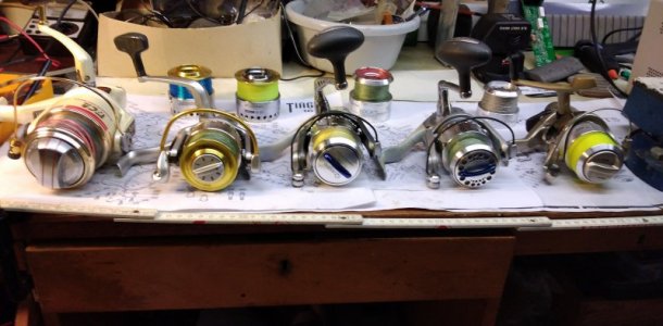 IMG_20210213_154703.jpg IMG_20210213_154703.jpg