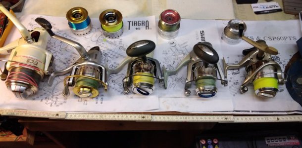 IMG_20210213_154729.jpg IMG_20210213_154729.jpg