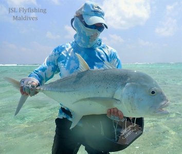 IMG-20210213-WA0011.jpg IMG-20210213-WA0011.jpg