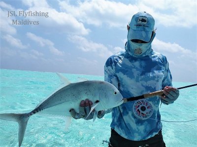 IMG-20210213-WA0028.jpg IMG-20210213-WA0028.jpg