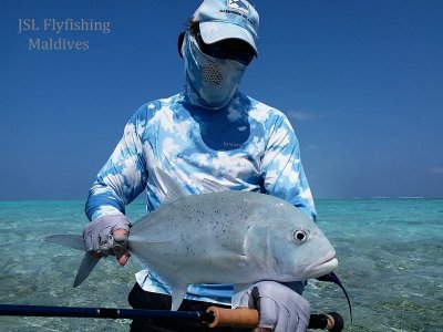 IMG-20210213-WA0031.jpg IMG-20210213-WA0031.jpg