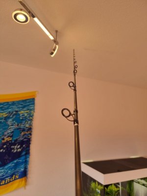 20210217_154533.jpg