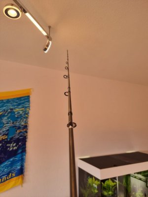 20210217_154539.jpg