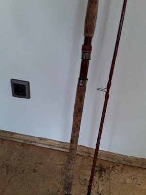 20210218_100606.jpg