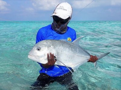 IMG-20210214-WA0004.jpg IMG-20210214-WA0004.jpg