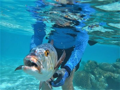 IMG-20210215-WA0002.jpg IMG-20210215-WA0002.jpg