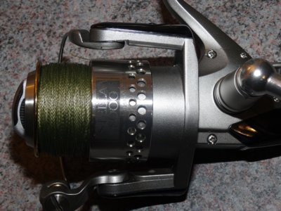 Stella Aendi 019.JPG