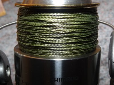 Stella Aendi 018.JPG