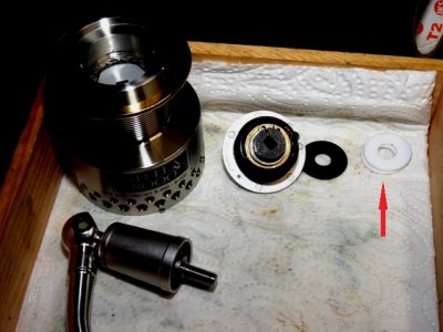 Stella Aendi 008.JPG