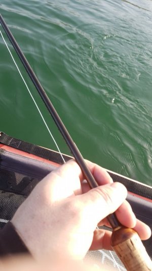 IMG-20210225-WA0005.jpeg IMG-20210225-WA0005.jpeg