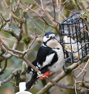 DSC_4112.JPG DSC_4112.JPG