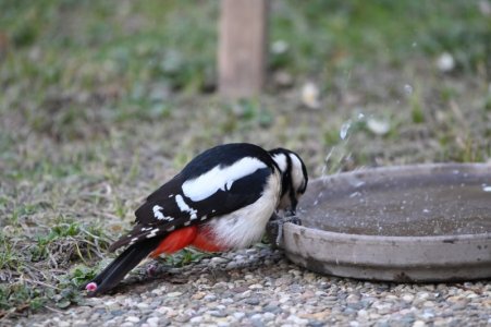 DSC_4154.JPG DSC_4154.JPG