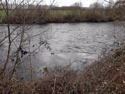 20210318_152456.jpg 20210318_152456.jpg