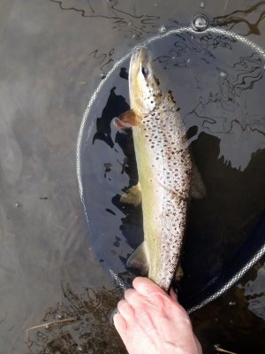 20210318_142626.jpg 20210318_142626.jpg