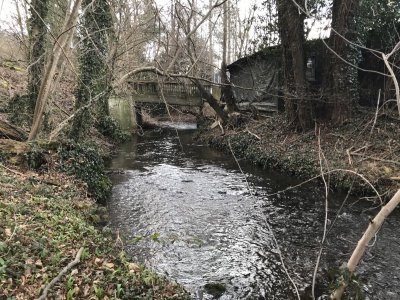 CE88EA5B-5F28-4112-BC8D-B065F4293135.jpeg CE88EA5B-5F28-4112-BC8D-B065F4293135.jpeg