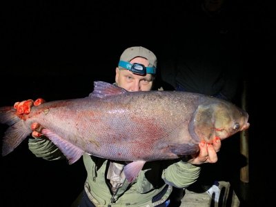 IMG-20210320-WA0018.jpg IMG-20210320-WA0018.jpg