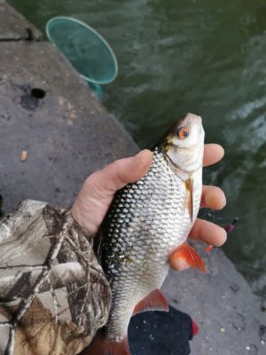 IMG-20210321-WA0004.jpg IMG-20210321-WA0004.jpg