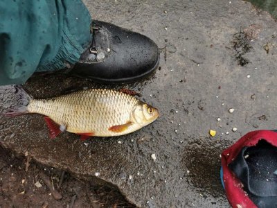 IMG-20210321-WA0003.jpg IMG-20210321-WA0003.jpg