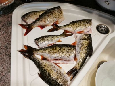 IMG-20210321-WA0001.jpg IMG-20210321-WA0001.jpg