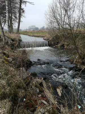 IMG_20210321_101556.jpg IMG_20210321_101556.jpg