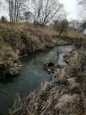 IMG_20210321_101539.jpg IMG_20210321_101539.jpg