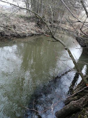 IMG_20210321_111342.jpg IMG_20210321_111342.jpg