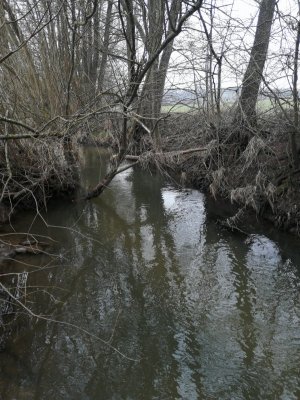 IMG_20210321_111347.jpg IMG_20210321_111347.jpg