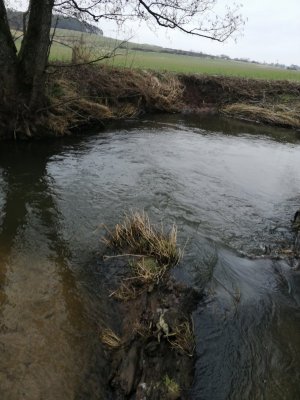 IMG_20210321_120406.jpg IMG_20210321_120406.jpg