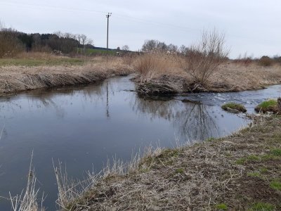 20210321_142613.jpg 20210321_142613.jpg