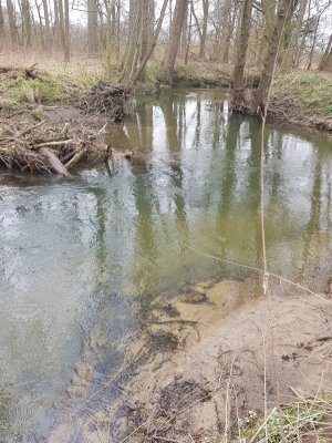 20210321_122027.jpg 20210321_122027.jpg