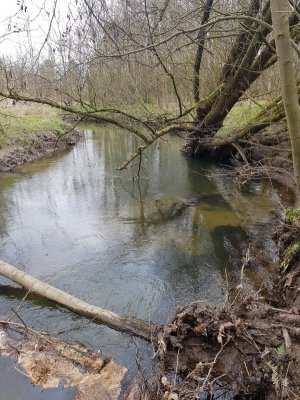 20210321_123823.jpg 20210321_123823.jpg