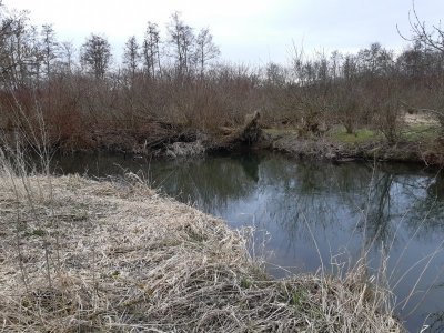 20210321_144318.jpg 20210321_144318.jpg