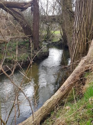 20210321_134346.jpg 20210321_134346.jpg