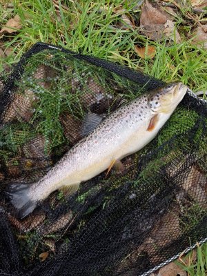 20210321_132932.jpg 20210321_132932.jpg