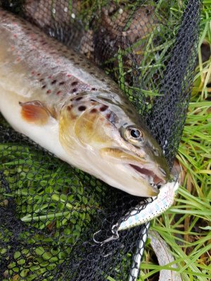 20210321_132946.jpg 20210321_132946.jpg