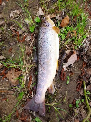 20210321_140450.jpg 20210321_140450.jpg