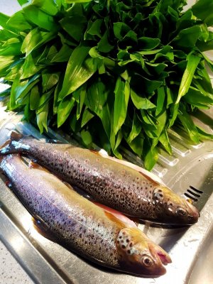 20210321_152608.jpg 20210321_152608.jpg