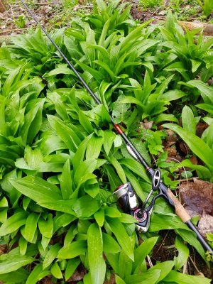 20210321_121643.jpg 20210321_121643.jpg