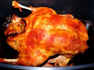 Daiwa Saltiga Exp. 5500H 002.JPG