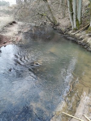 IMG_20210323_171717.jpg IMG_20210323_171717.jpg