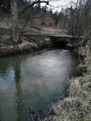 IMG_20210323_173402.jpg IMG_20210323_173402.jpg