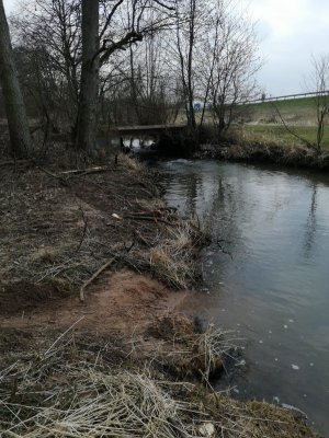 IMG_20210323_171743.jpg IMG_20210323_171743.jpg