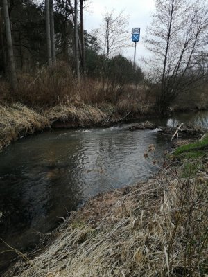 IMG_20210323_174045.jpg IMG_20210323_174045.jpg