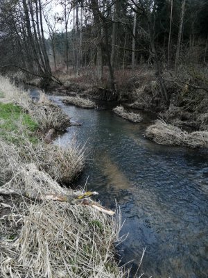 IMG_20210323_174051.jpg IMG_20210323_174051.jpg