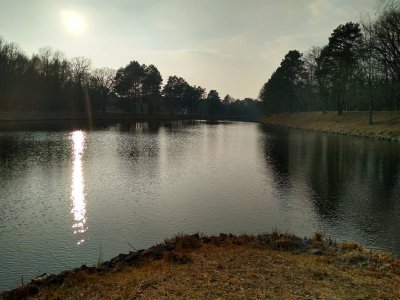 IMG_20210324_164731478_HDR.jpg IMG_20210324_164731478_HDR.jpg