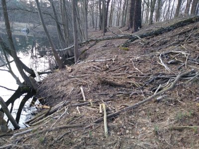 IMG_20210324_171550207.jpg IMG_20210324_171550207.jpg