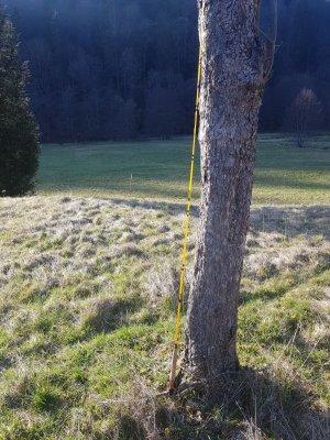 20210324_163521.jpg 20210324_163521.jpg